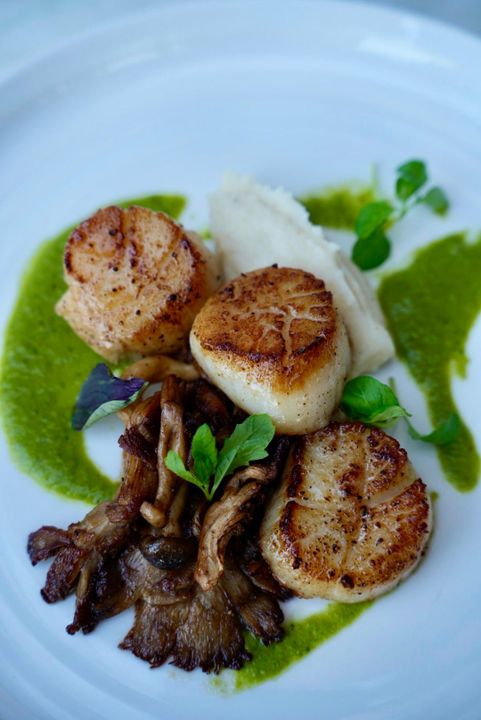 Pan-seared sea scallops with cauliflower, pioppini mushroom & salsa verde. Gluten-free seafood at Jackie Restaurant, Capitol Riverfront, Washington DC.