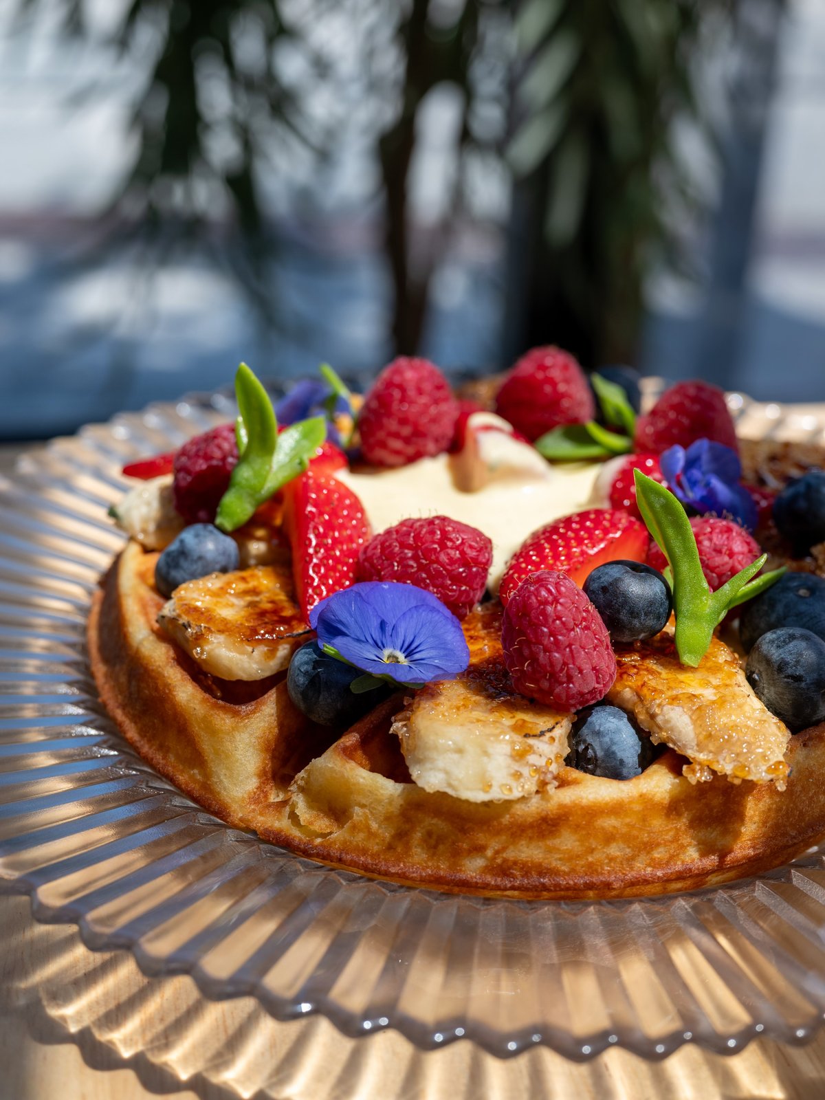 Jackie Restaurant Fall Brunch
