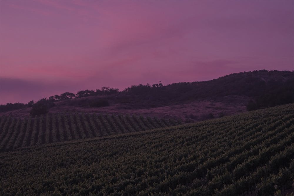 a person with a sunset in the background