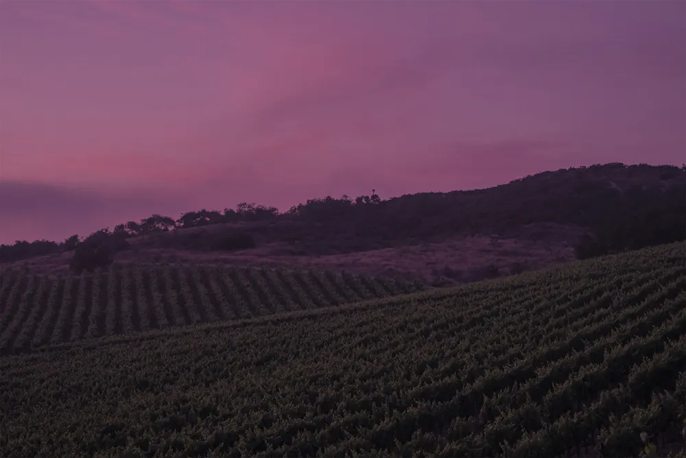a person with a sunset in the background