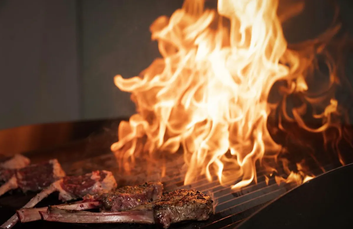a close up of a fire oven