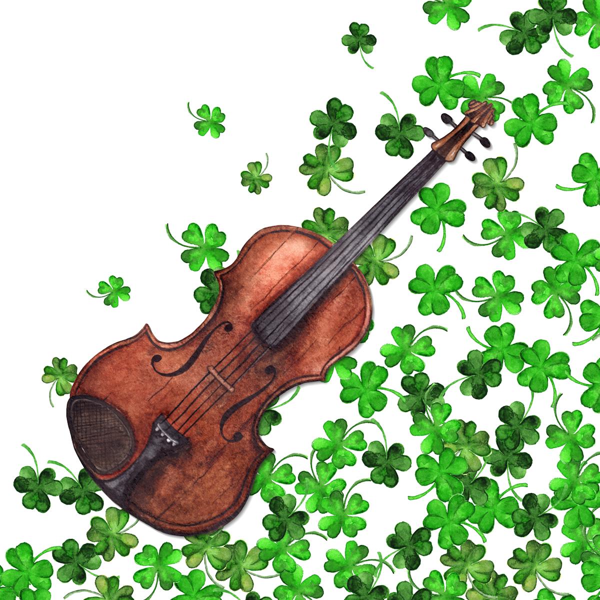 irish music facts