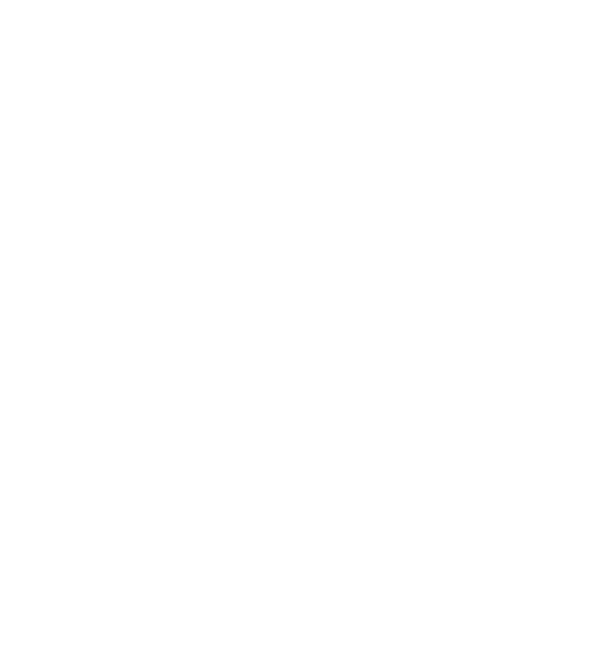 Mightyquinnsbbq shop