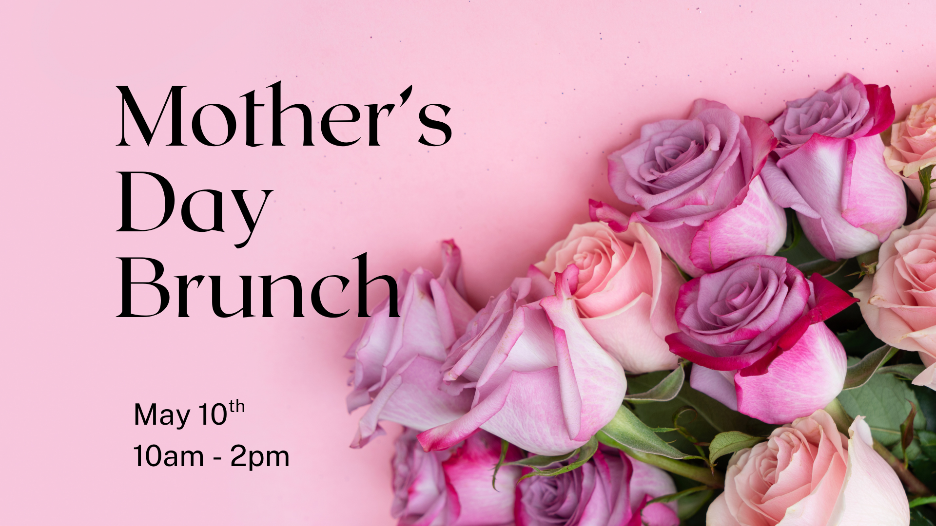 a bunch of roses on a pink background