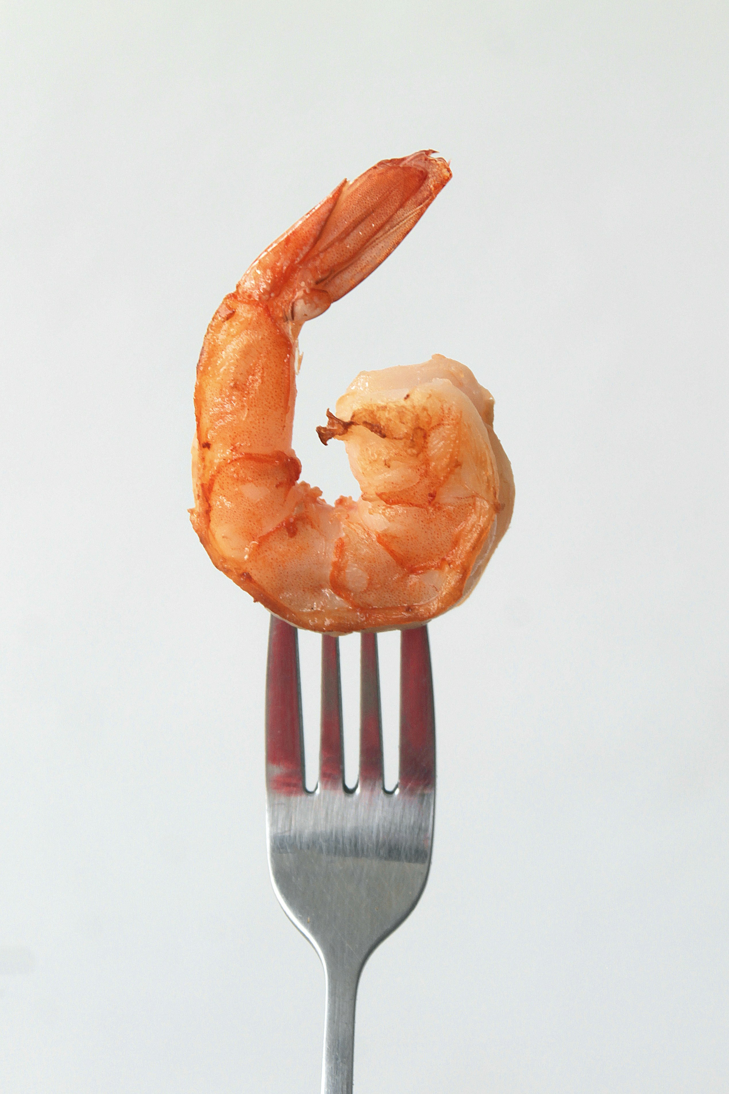 a shrimp on a fork