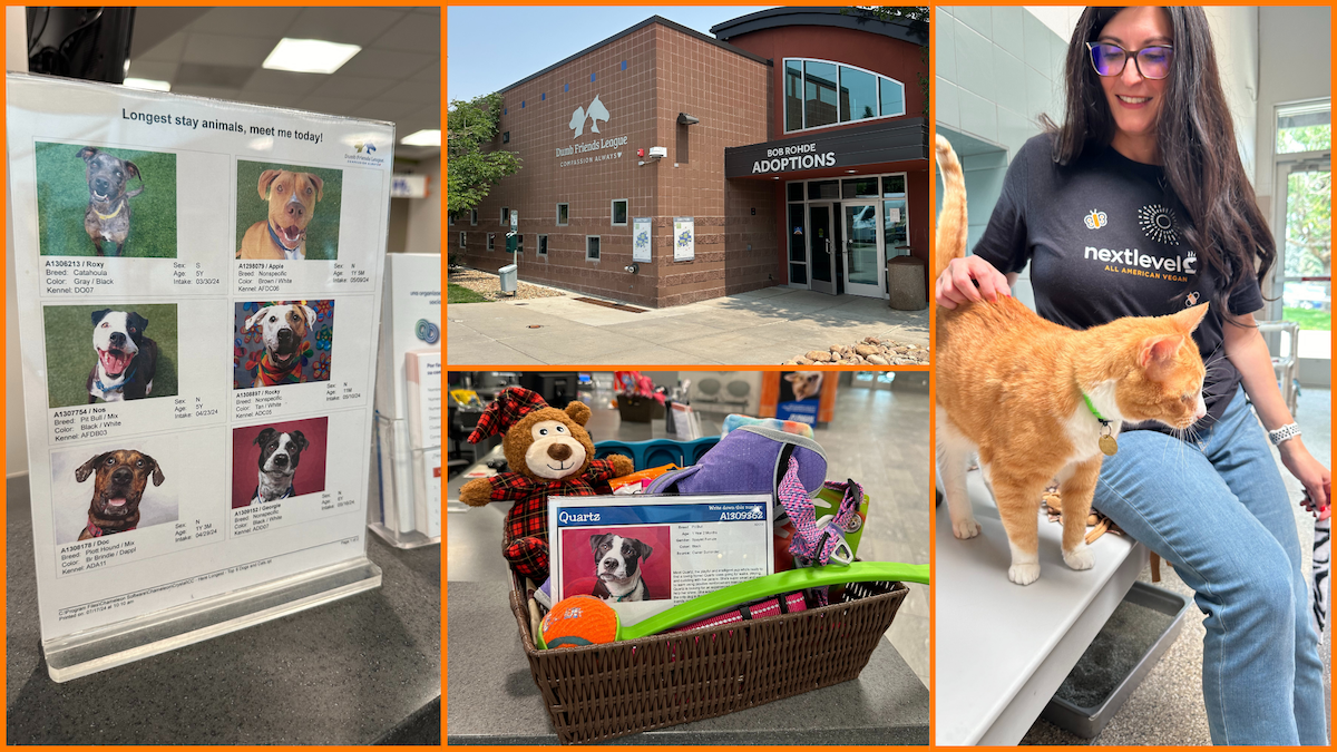 a woman holding a cat