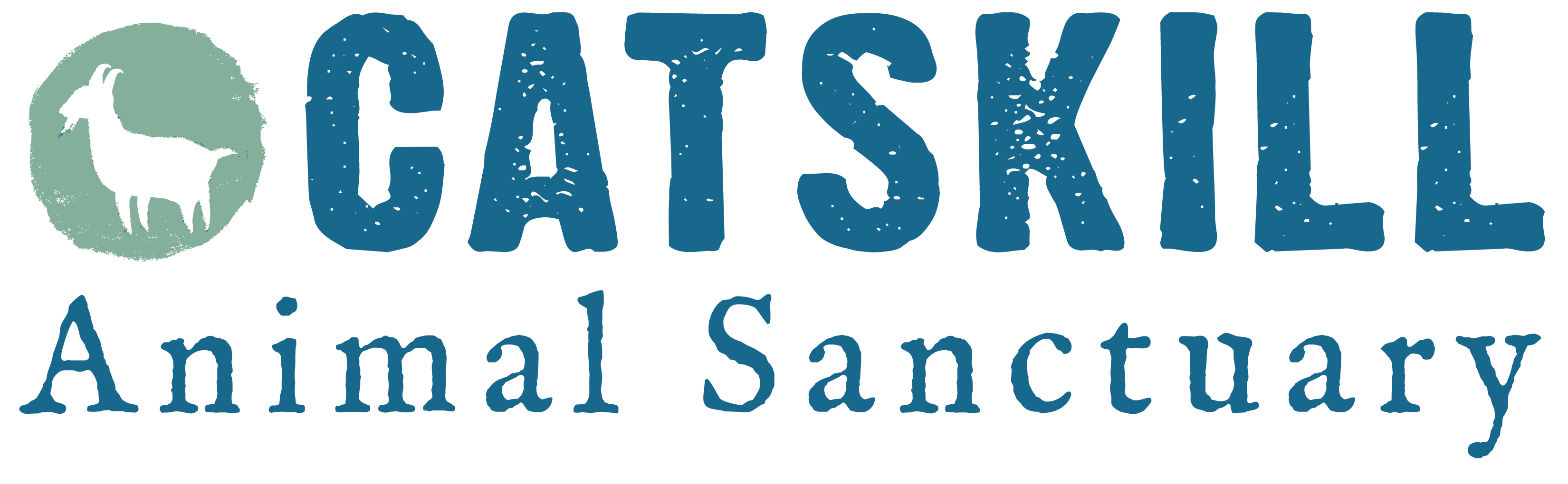 a close up of a plate