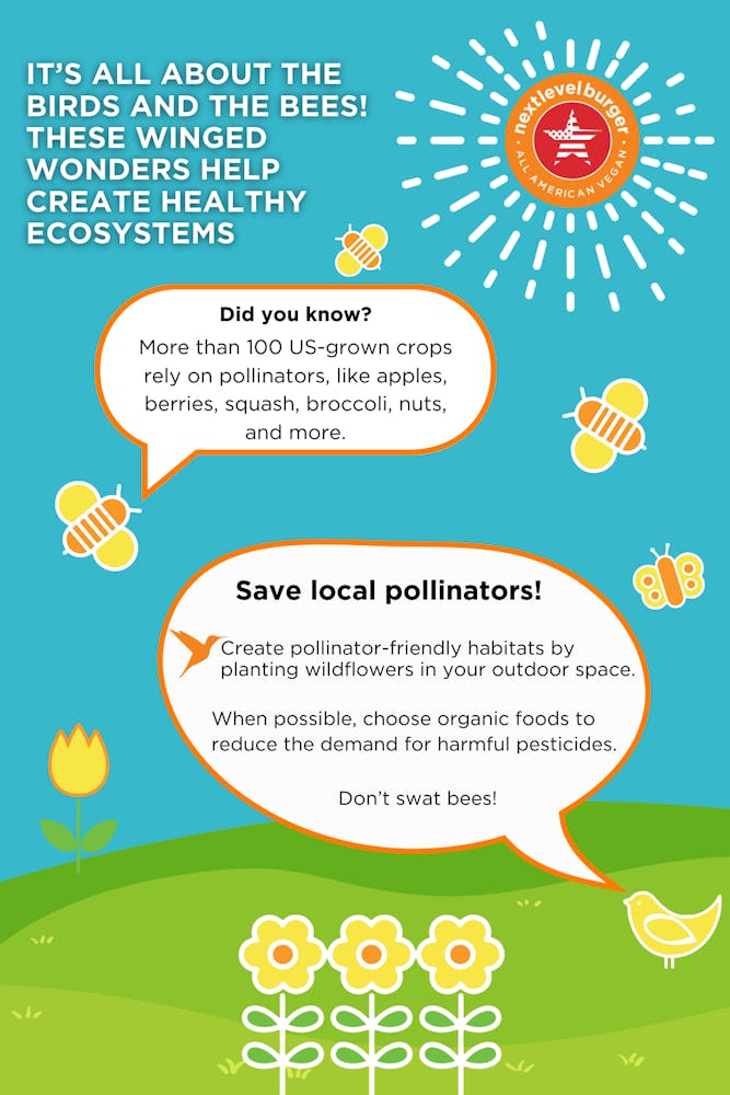 IT’S ALL ABOUT THE BIRDS AND THE BEES! THESE WINGED WONDERS HELP CREATE HEALTHY ECOSYSTEMS Did you know? More than 100 US-grown crops rely on pollinators, like apples, berries, squash, broccoli, nuts, and more. Save local pollinators!  Create pollinator-friendly habitats by planting wildflowers in your outdoor space. When possible, choose organic foods to reduce the demand for harmful pesticides. Don’t swat bees!