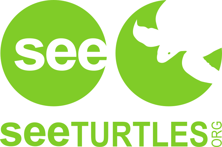 SeeTurtles Logo