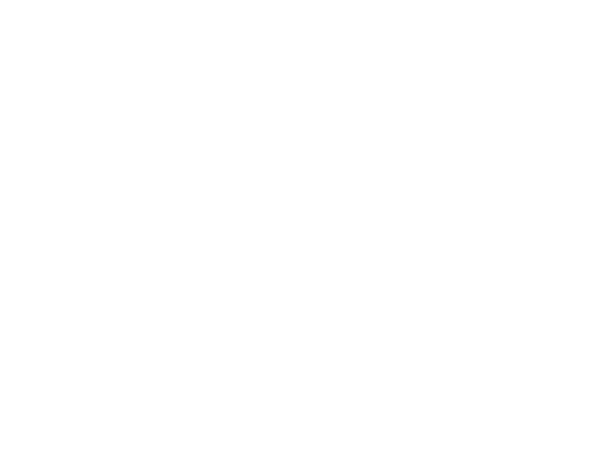 Big discount momma bbq