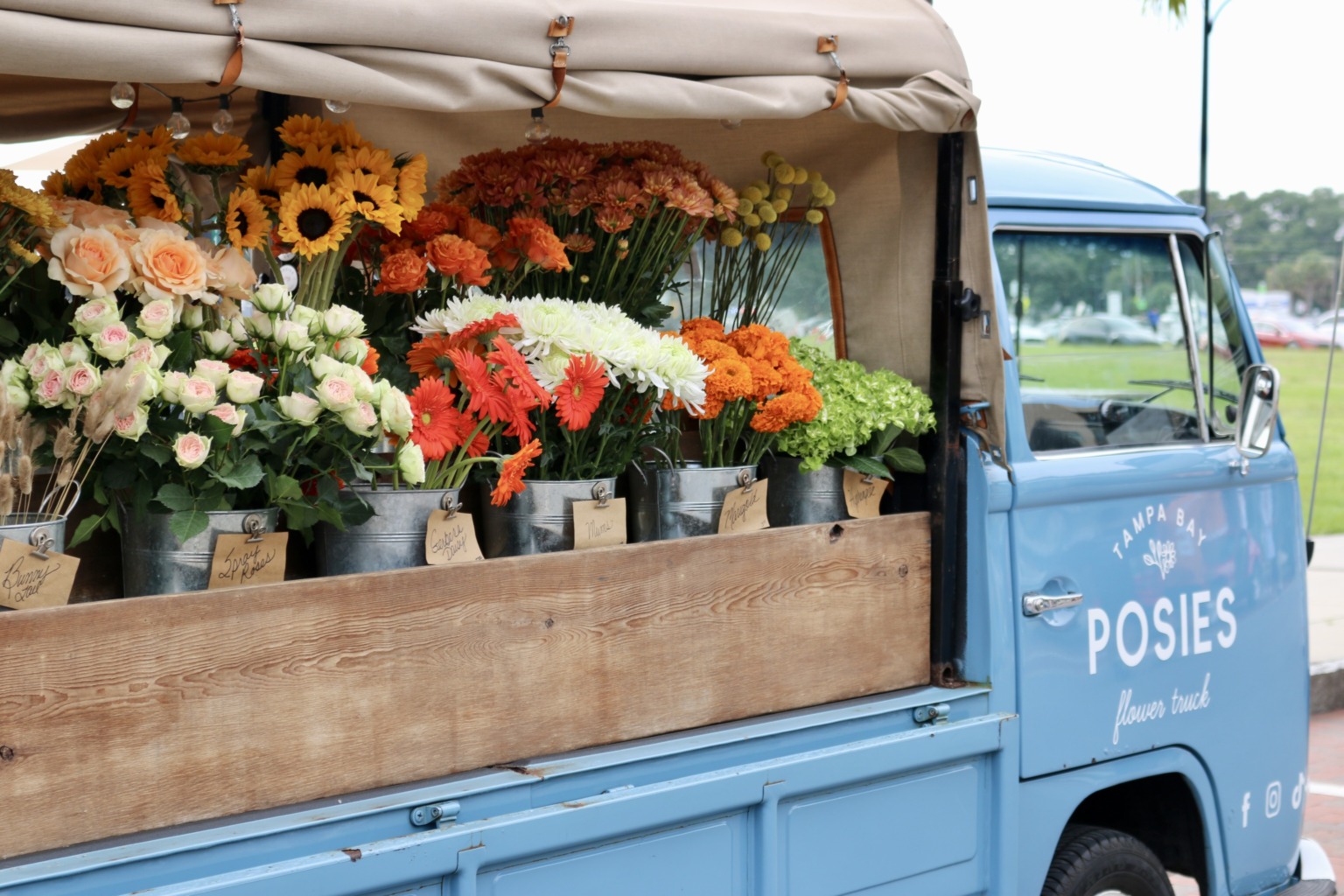 a flower shop