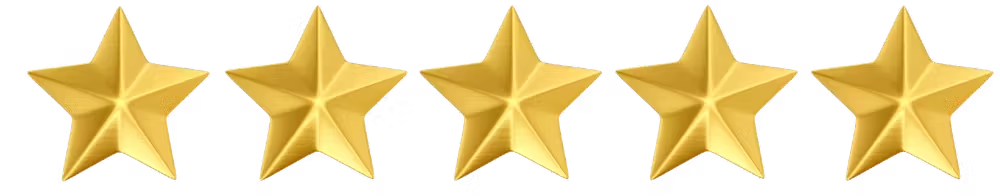 a close up of a tree