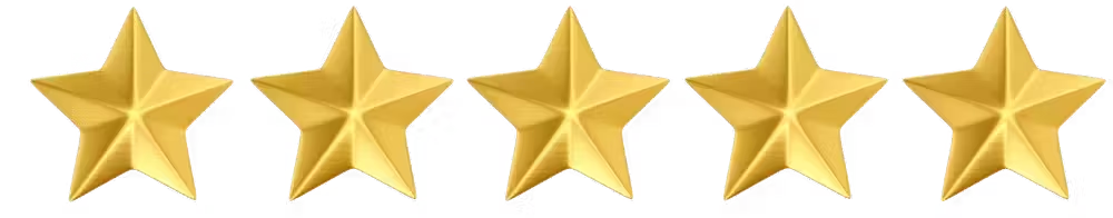 a close up of a tree