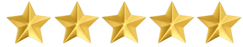 a close up of a tree