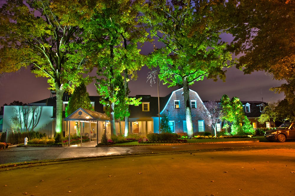 a tree in the middle of the street