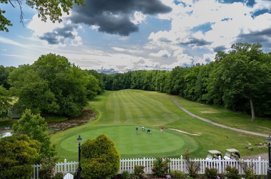 a large green field with trees in the background