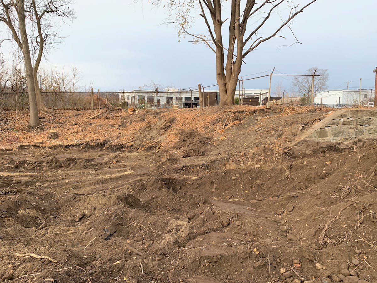 a tree in the middle of a dirt field