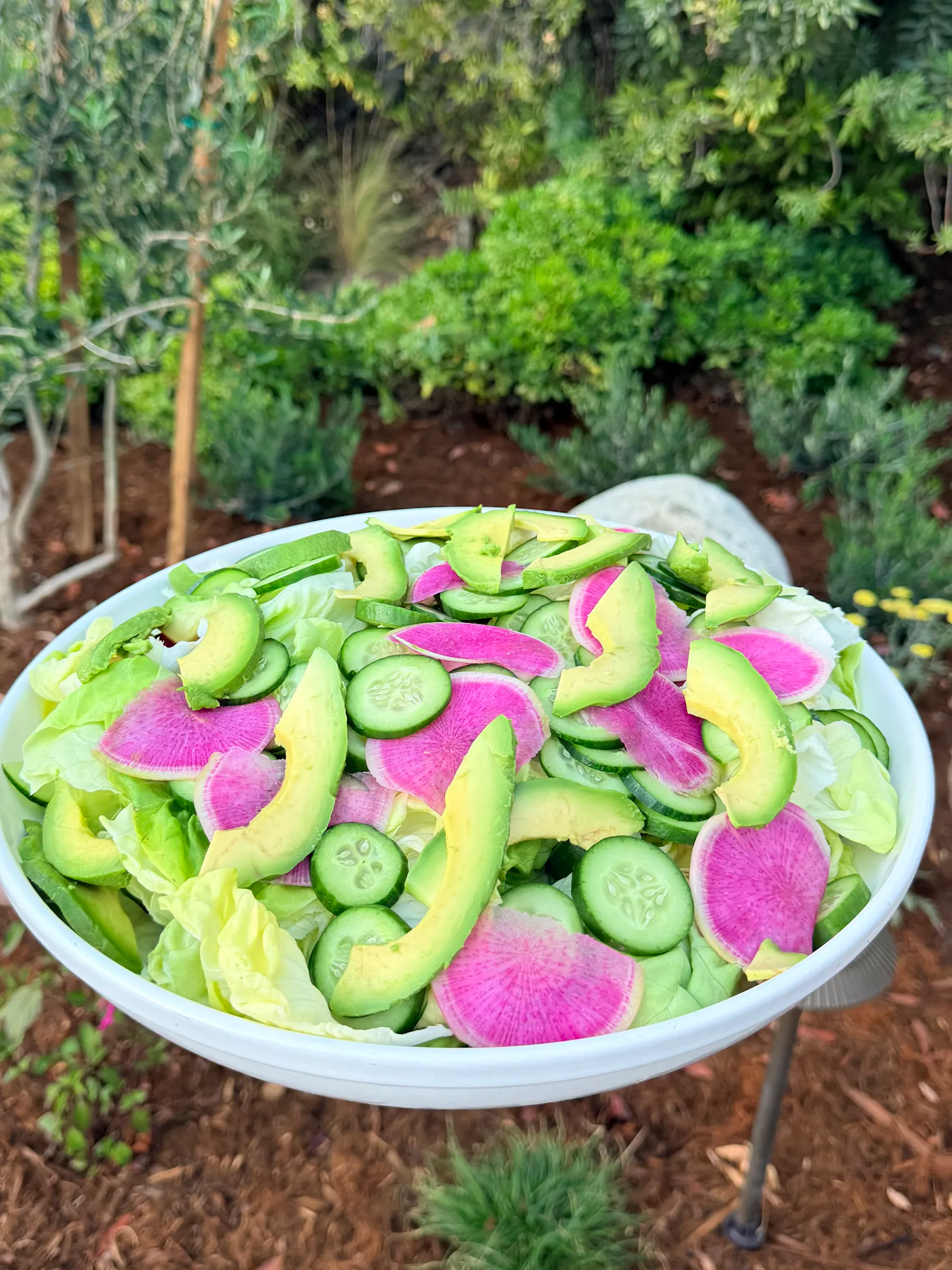 a bowl of salad with vegetables