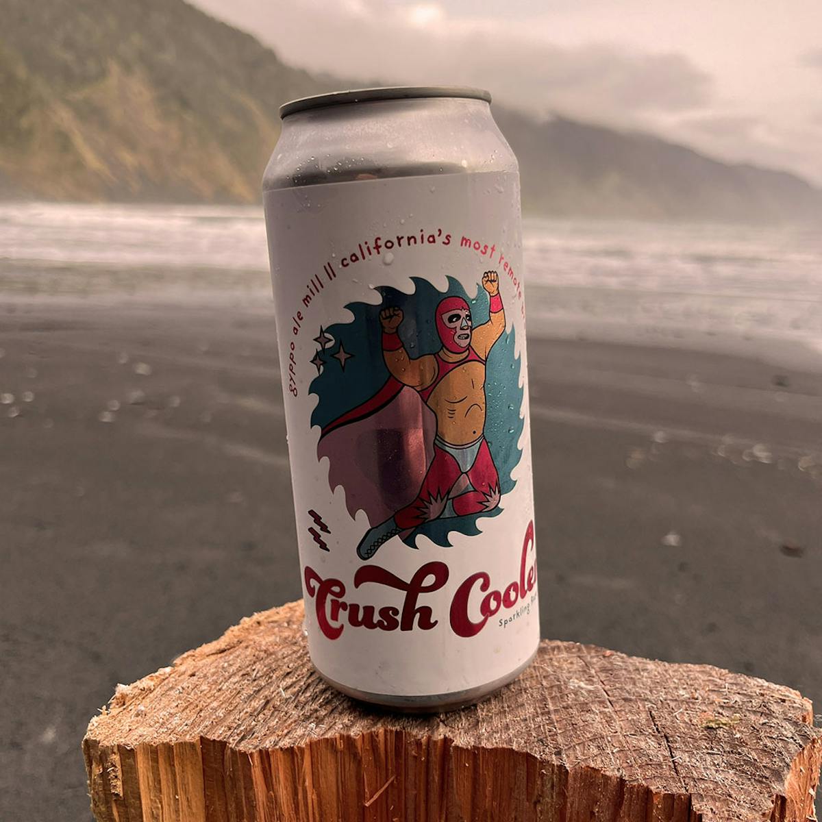 a can with a mountain in the background