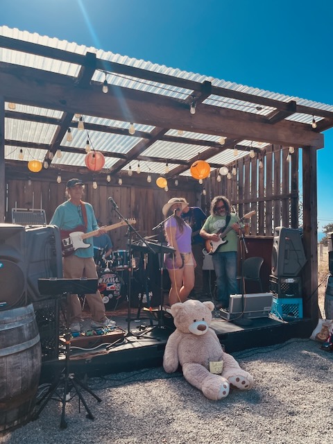 a group of people playing instruments under a wooden structure