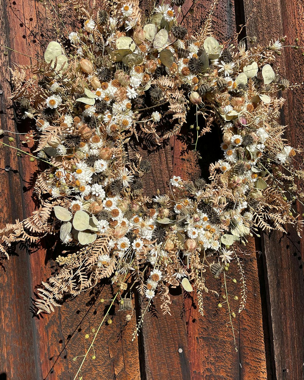 a close up of a flower garden