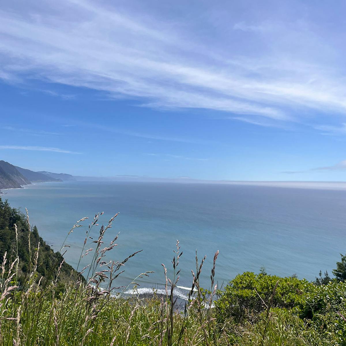 a close up of a hillside next to a body of water