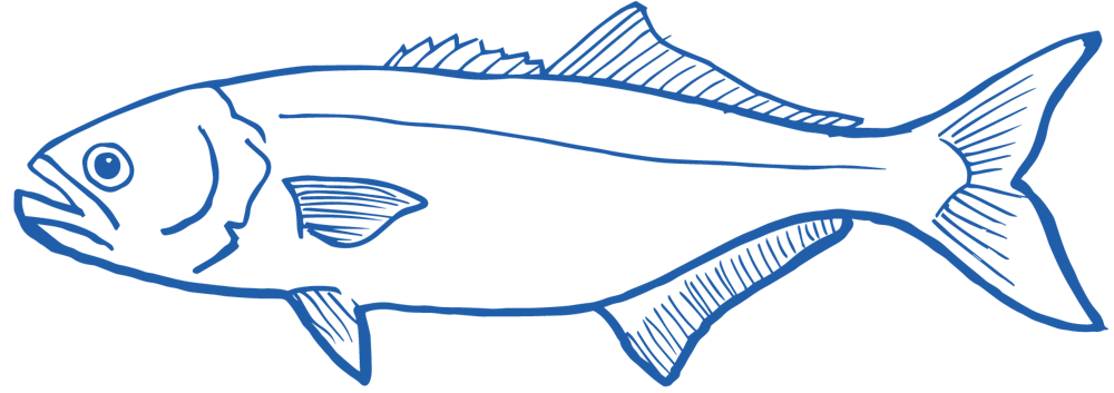 a close up of a logo