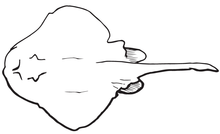 a necklace with a piece of paper