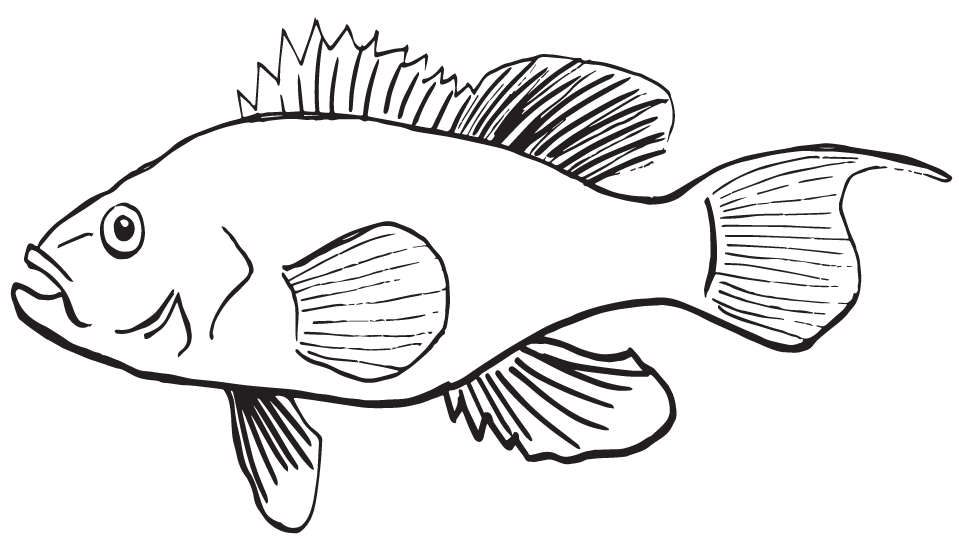 a close up of text on a white background