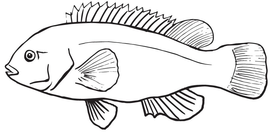 a close up of a logo