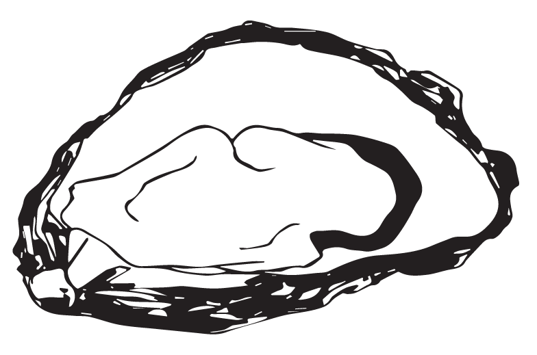 a close up of a logo