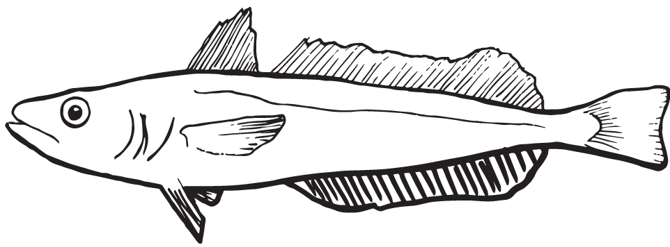 a close up of a logo