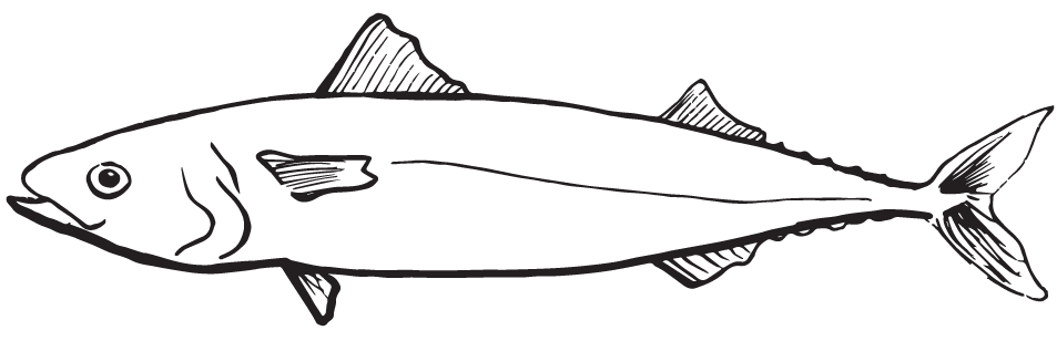 a close up of a logo