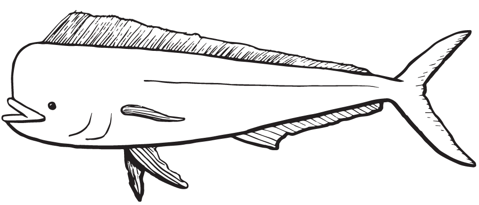 a close up of a logo