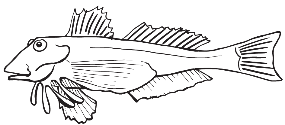 a close up of text on a white background