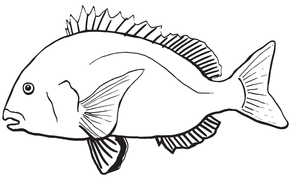 a close up of text on a white background