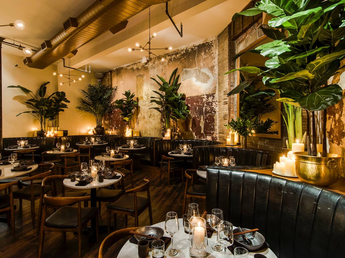 Chinese Tuxedo Hours + Location Tuxedo Hospitality Restaurants & Bars in New York, NY