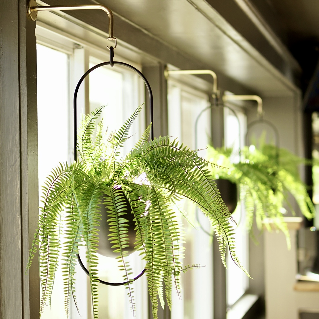 a vase with flowers in front of a window