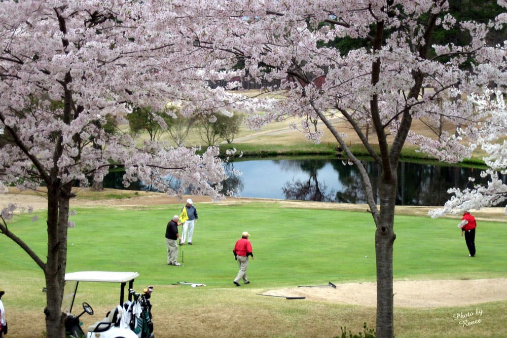 golf course