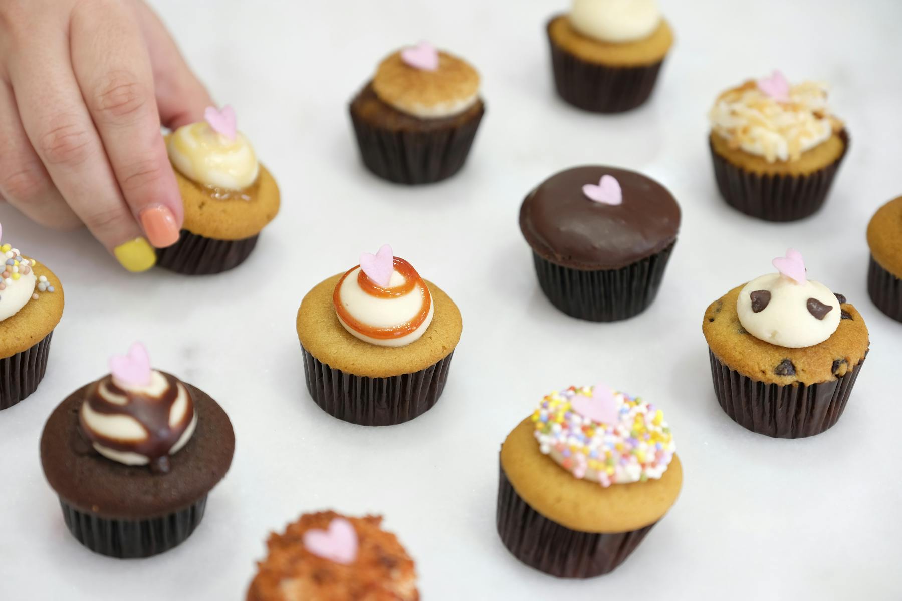 Main Store Bunnie Cakes in Miami, FL