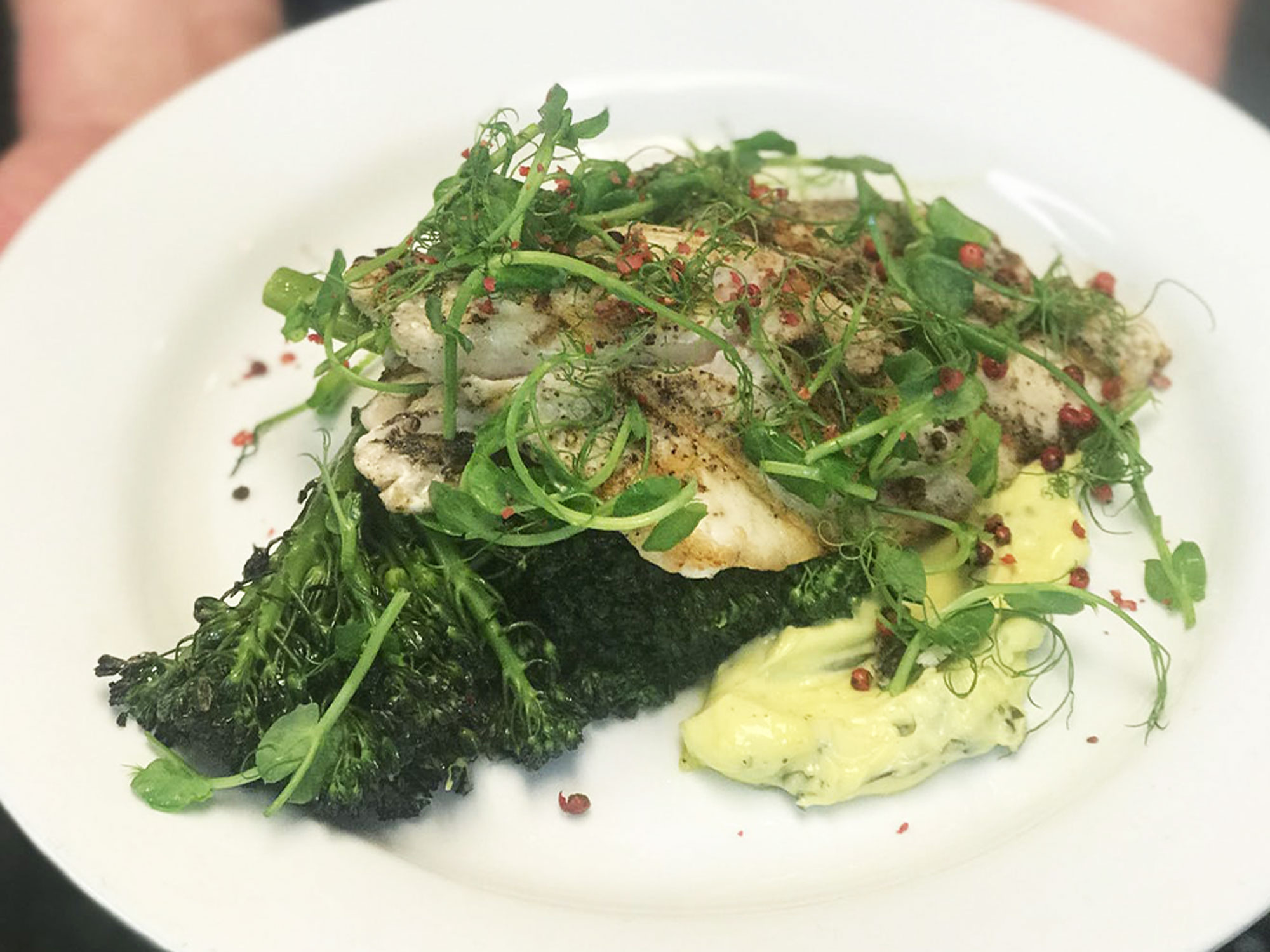 a plate of food with broccoli