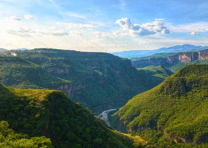 a view of a lush green hillside