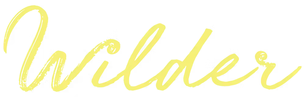 a close up of a logo