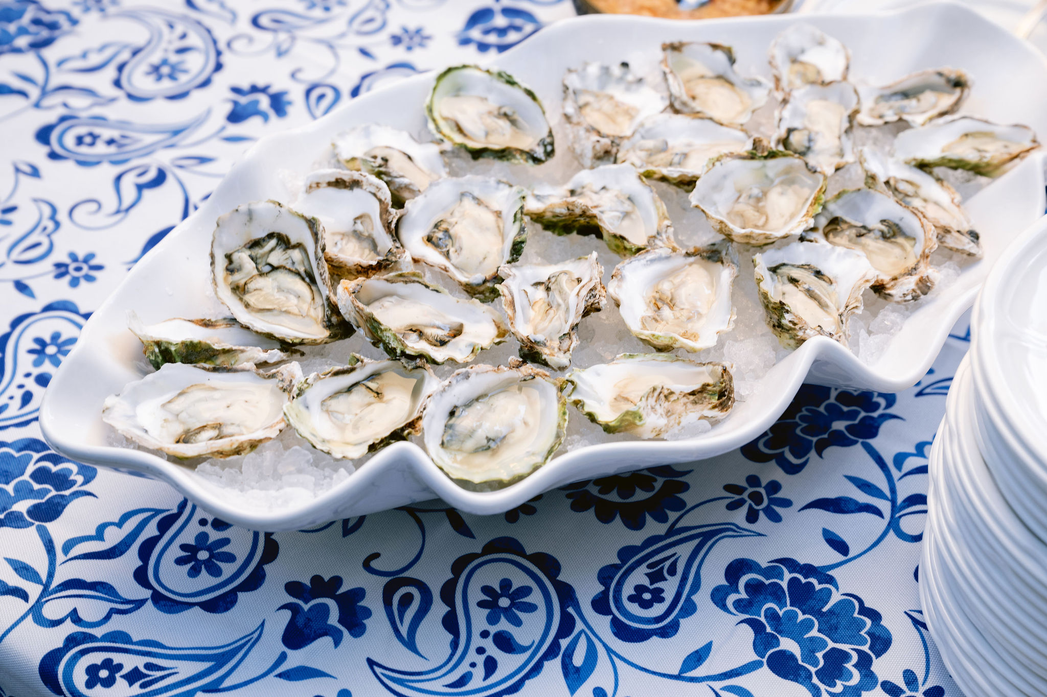 a plate of oysters on a table
