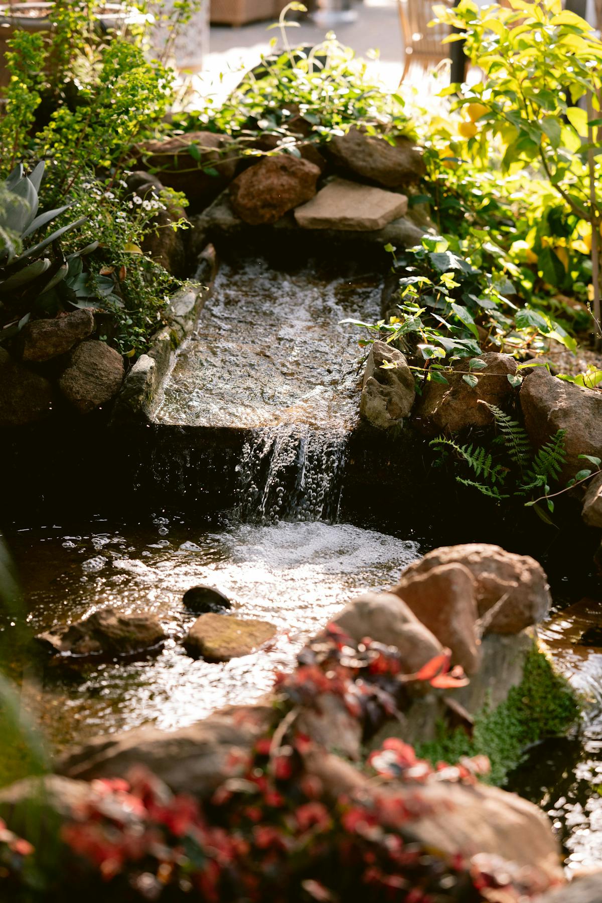 a garden with water in the background