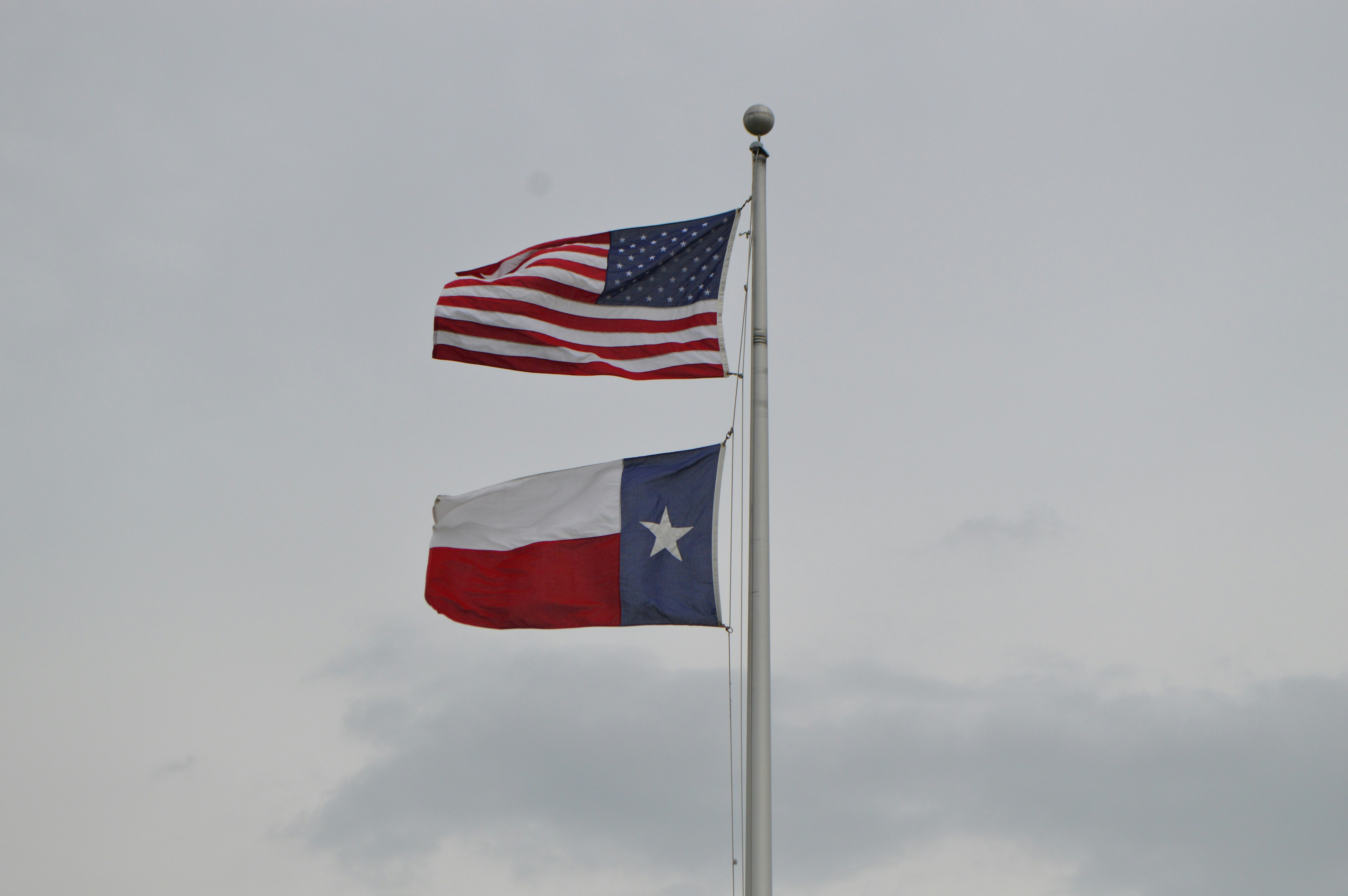 USA and Texas flag