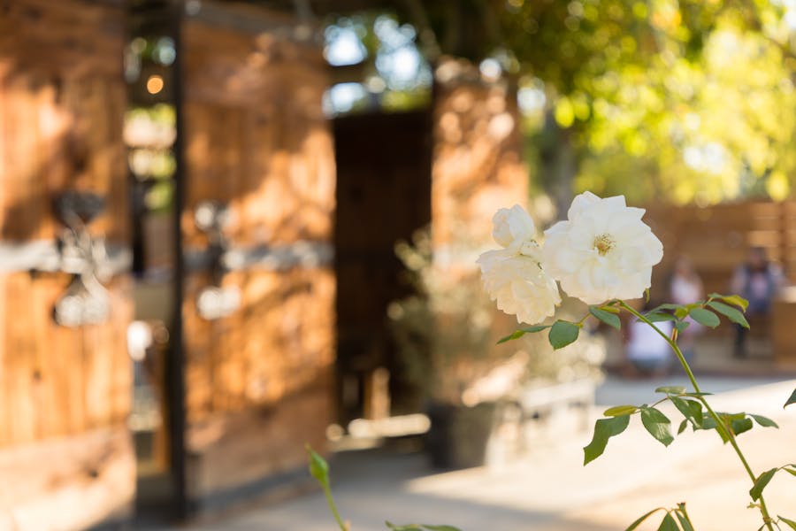 About Napa Yard in Napa, CA