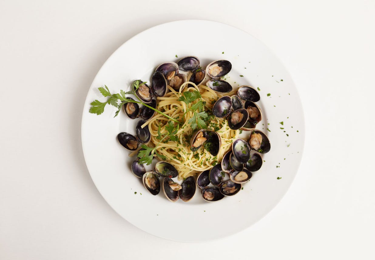 a white plate topped with fettuccine alfredo with mussels