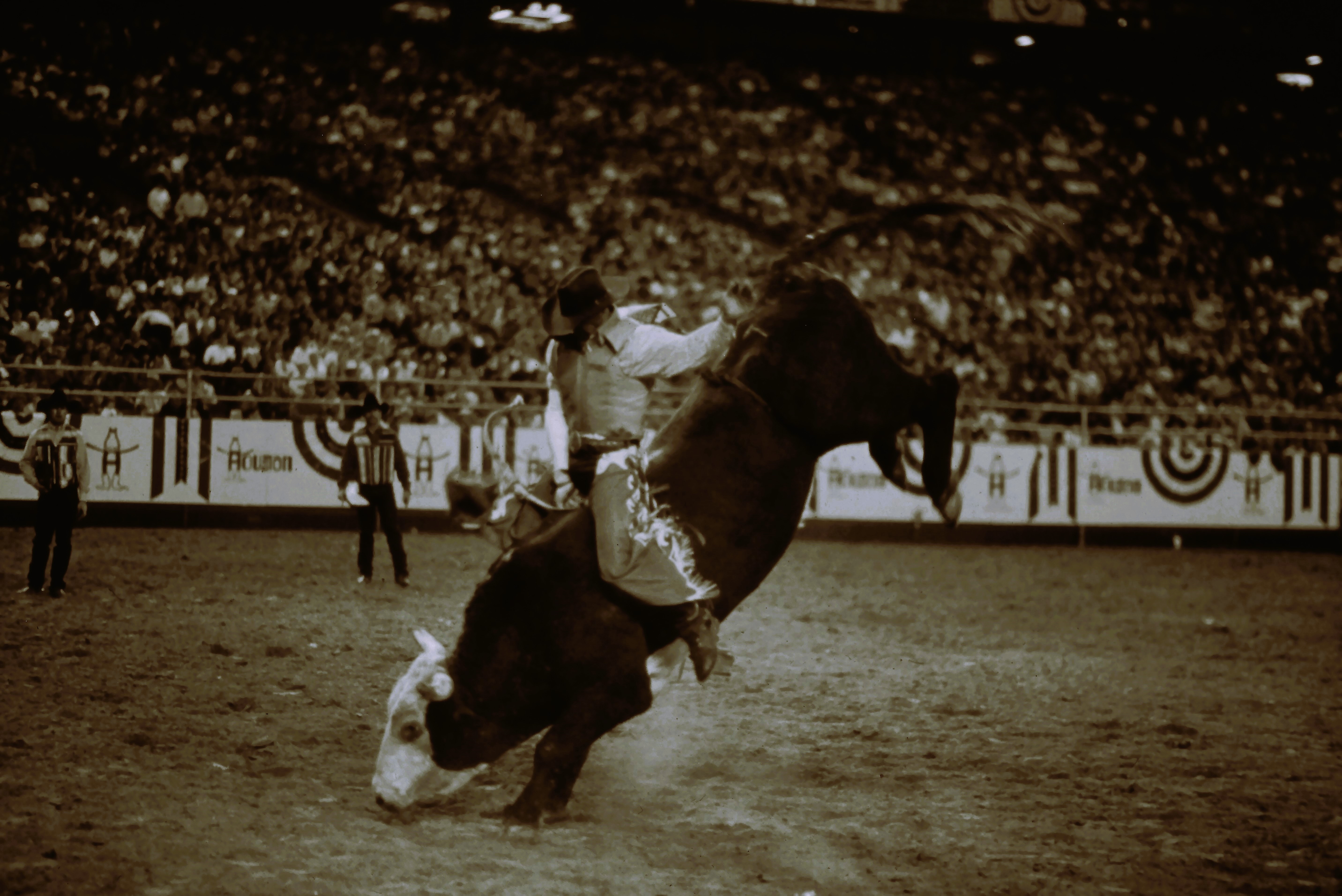 About Us | 1932 Cattleman’s Club – Houston’s Rodeo Dining Experience