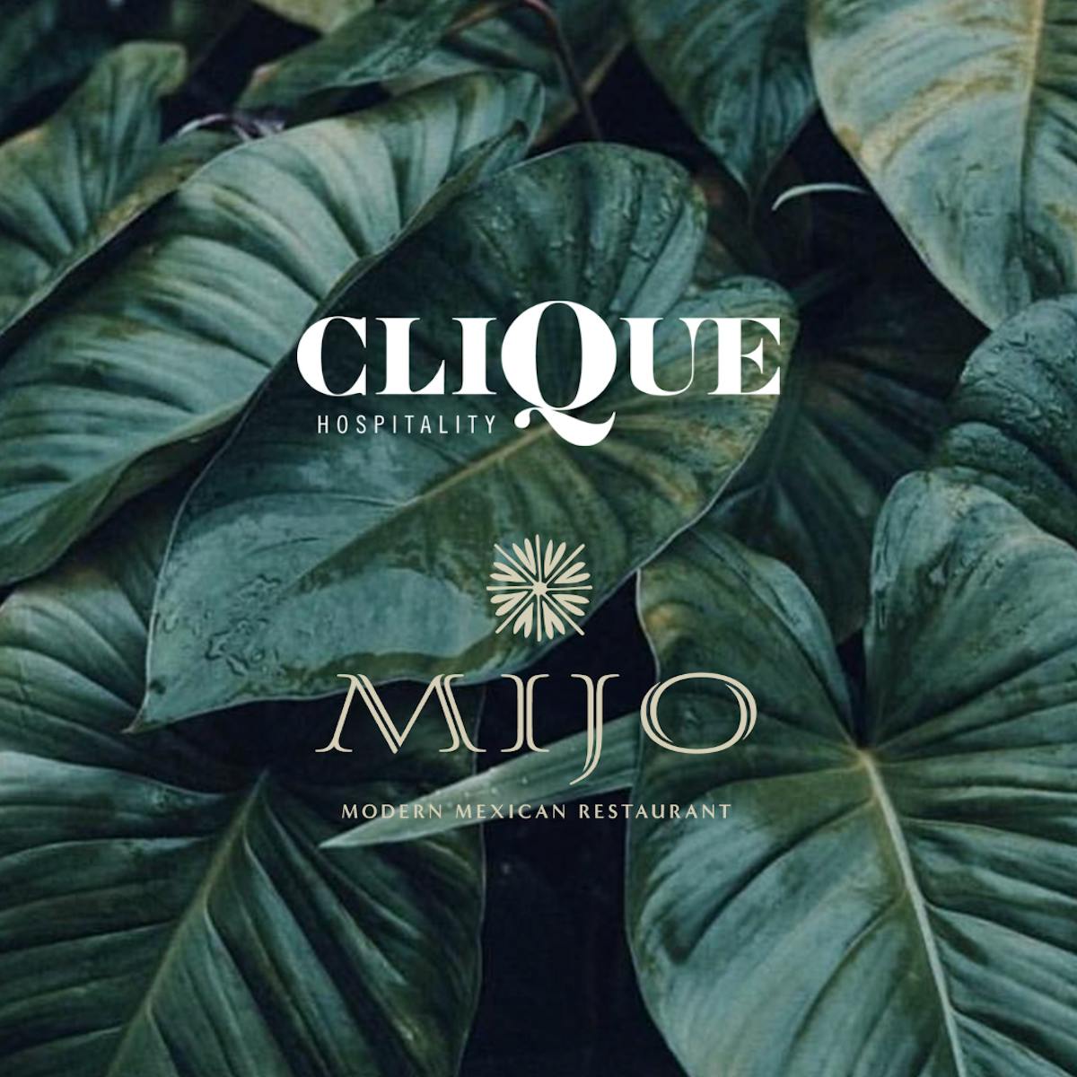 Mijo Modern Mexican a property by Clique Hospitality